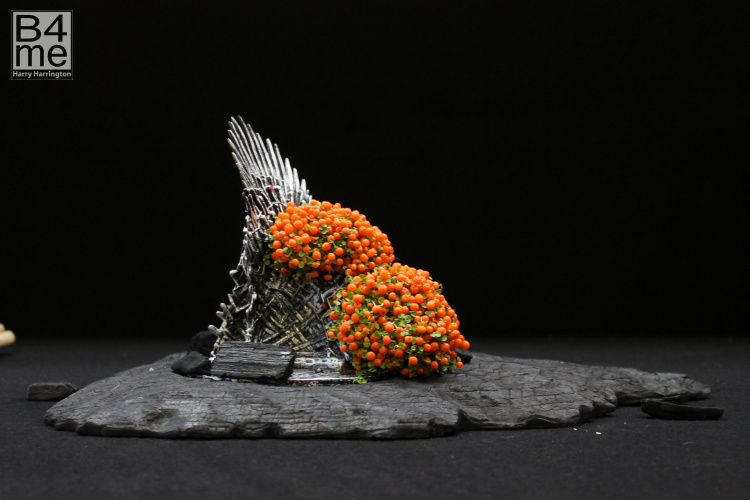 Ivy bonsai accent